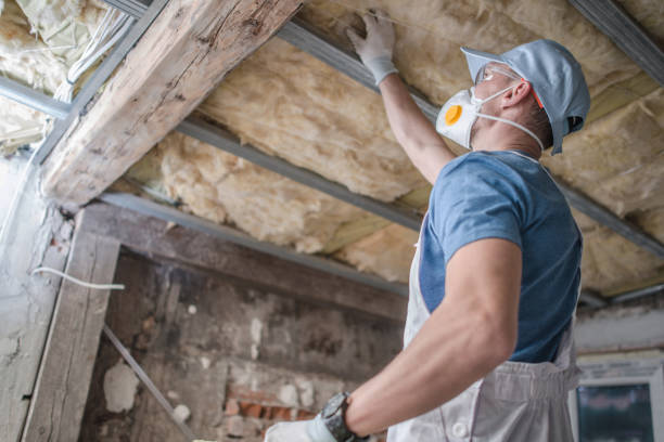 Best Insulation for Commercial Buildings  in Lansdowne, MD