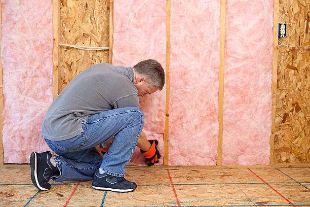 Best Insulation Repair Services  in Lansdowne, MD