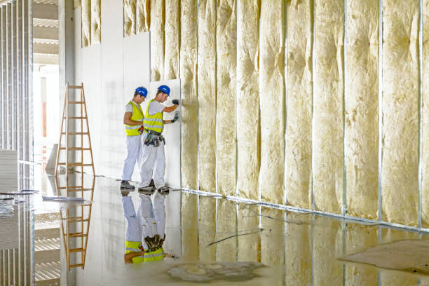 Best Insulation Removal Services  in Lansdowne, MD